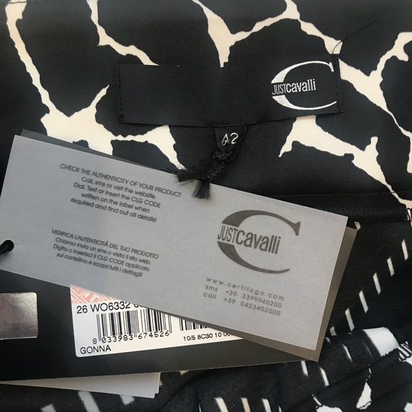 JUST CAVALLI Skirt Sz 42 - Picture 4 of 5